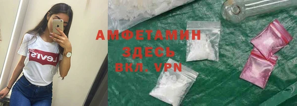 сатива Арсеньев