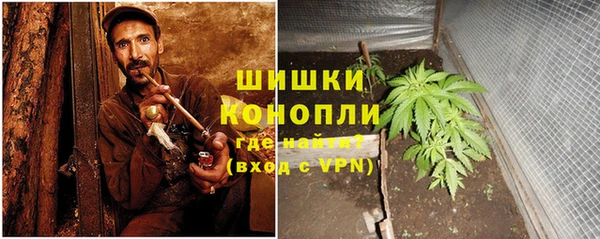 сатива Арсеньев