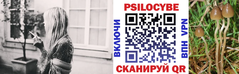 Купить где  Великие Луки  Псилоцибиновые грибы ЛСД 